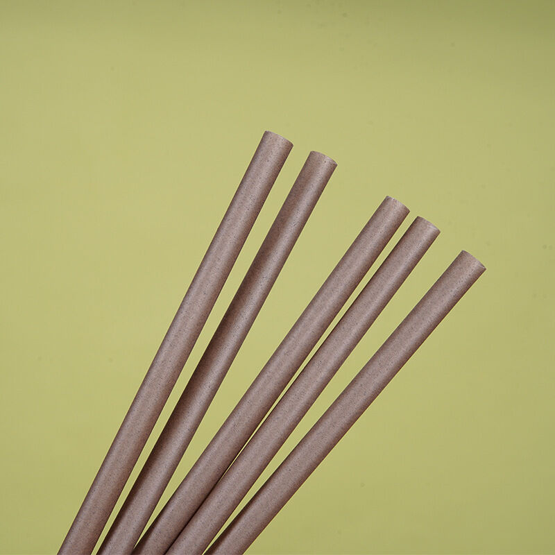 Individually Wrapped PLA Biodegradable Straws – Disposable Food Grade Thick Straws for Boba Tea & Smoothies